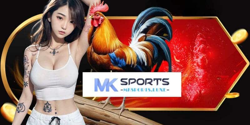Kinh nghiệm chơi đá gà C1 hiệu quả từ chuyên gia MKSports