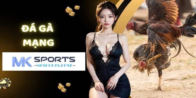 Tổng hợp các đặc điểm nổi bật cú sảnh đá gà mạng MKSports mang đến cho kê thủ