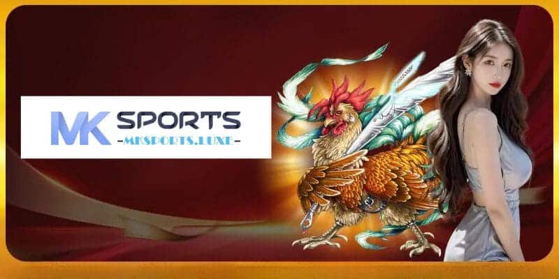 Đặc điểm thu hút đông đảo cược thủ tham gia đá gà của MKSports