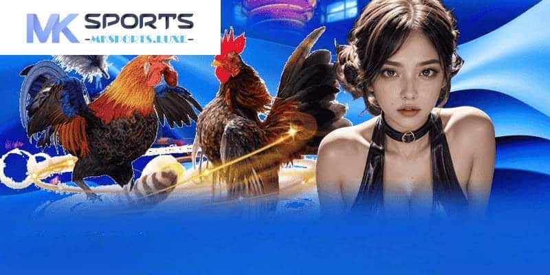 Mách bạn bí quyết cược đá gà mạng đỉnh cao như bậc thầy chọi gà tại MKSports